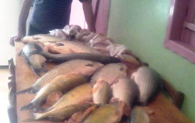 Pescador de Mondaí relata rotina e desafios do profissional