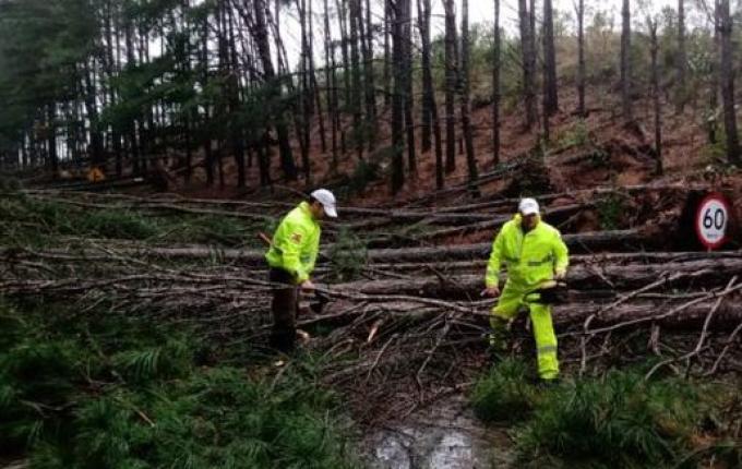 VÍDEO: Governo de SC atua para minimizar danos de ciclone extratropical