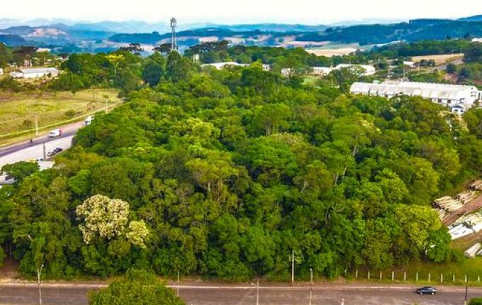 Reunião reacende instalação da Havan em São Miguel do Oeste; ouça