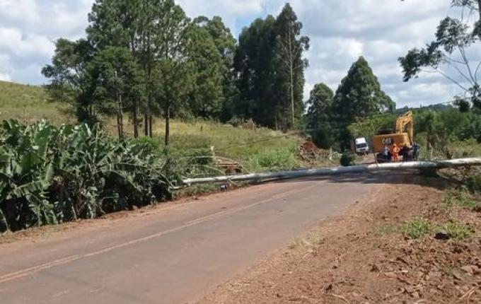 Queda de árvore causa interrupção de energia em parte de Campo Erê e região