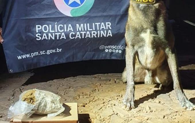 Jovem casal é preso com drogas em operação da PM em Dionísio Cerqueira