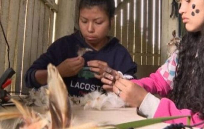 População indígena catarinense é de maioria evangélica, indica IBGE