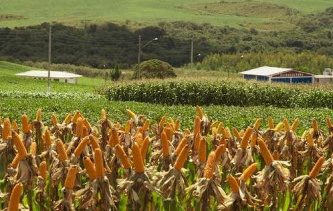 Programa Terra Boa 2024 será lançado nesta quarta na região