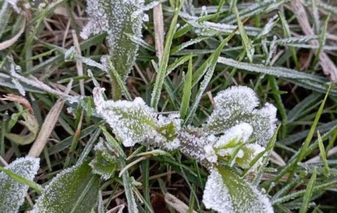 Iporã do Oeste registra geada histórica no mês de novembro