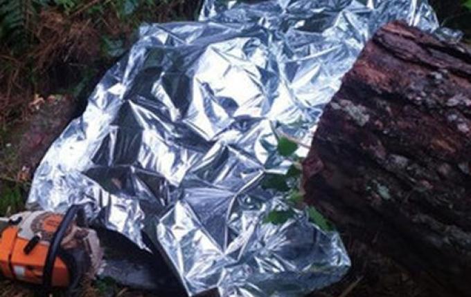 Homem morre ao ser atingido por árvore durante trabalho