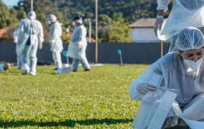 Cerca de 100 agentes de perícia criminal concursados são chamados para atuar em SC