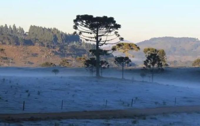 Frio chega a SC e cidades amanhecem com temperaturas abaixo de zero