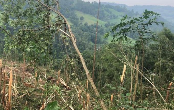 Ventos fortes causam grande destruição no interior de Iporã do Oeste