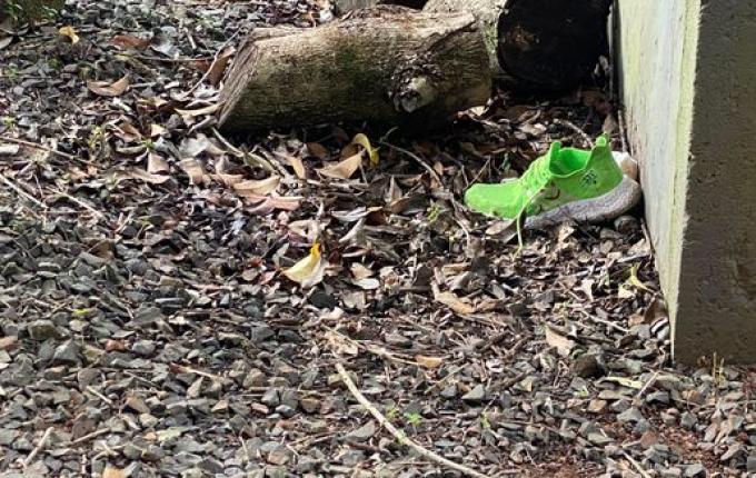 Homem é encontrado com mais de 30 facadas às margens da BR-282 em SMO