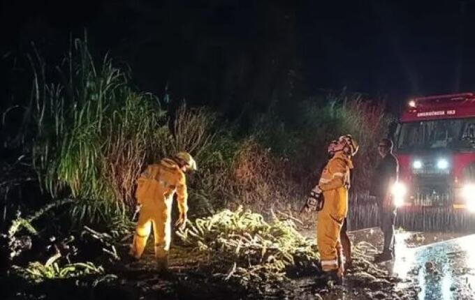 Temporal e rajadas de vento derrubam árvores e causam danos em casas no Oeste