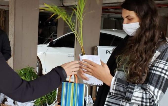 Entrega de mudas de árvores nativas marca Dia Mundial do Meio Ambiente em Iporã do Oeste