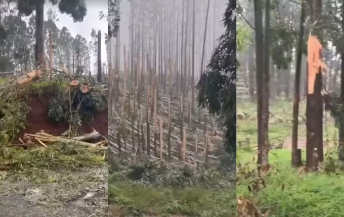 Paraná registra dois tornados em menos de 24 horas