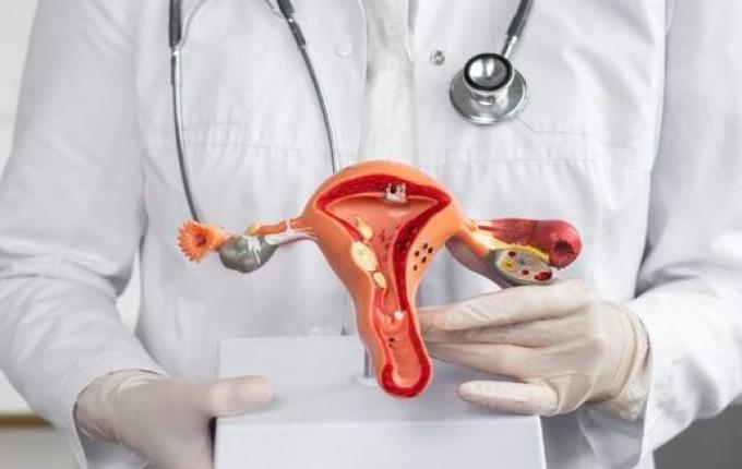 SC receberá R$ 10,9 milhões em investimentos federais voltados à saúde da mulher no SUS