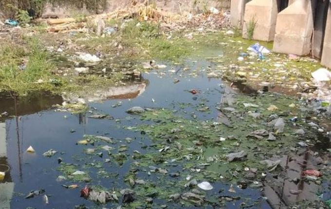 Falta de banheiros e sanitários afeta quase 2 mil moradores de SC, diz IBGE