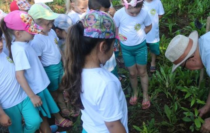 Alunos fazem visita ao Lago Municipal e participam de plantio de árvores em Cedro