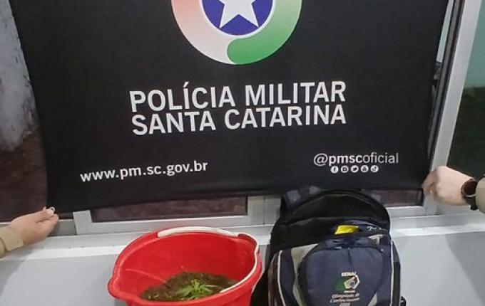 PM apreende 2 kg de maconha em operação na BR-163, em São José do Cedro