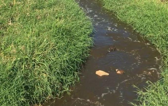 Vigilância Sanitária de Descanso localiza lançamento de efluente no Rio Famoso