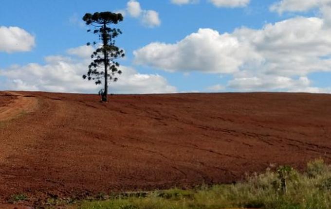 Agrônomo lamenta erosões causadas por manejo errado em lavouras