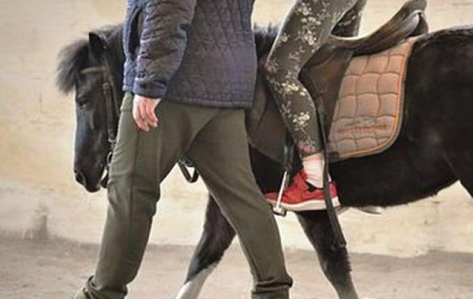 APAE aguarda liberação de recursos para implantar equoterapia