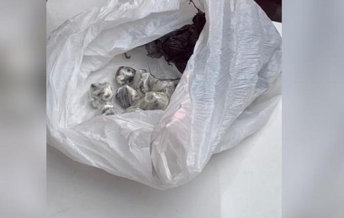 Polícia prende motociclista com 50g de cocaína na BR-282, em SMOeste