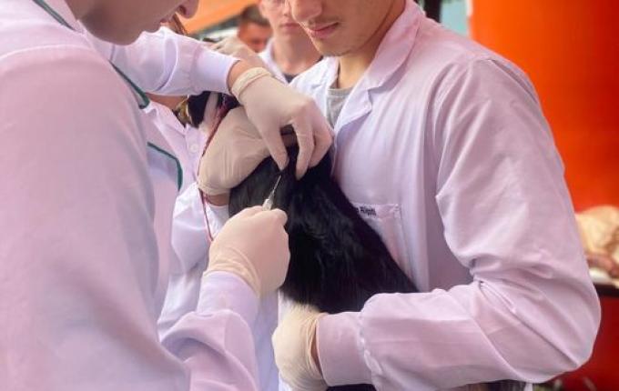 ASANIO realiza nova campanha de Vacinação Antirrábica nesta quinta feira em Iporã do Oeste