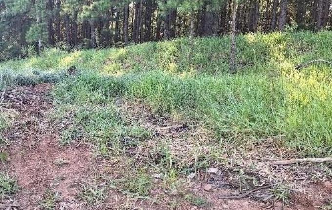 Jovem de 21 anos é morta a facadas pelo companheiro em Dionísio Cerqueira