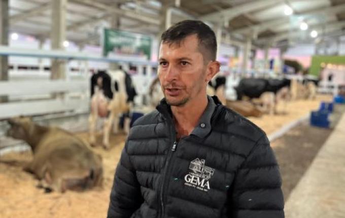 Faismo começa a receber animais para o torneio leiteiro