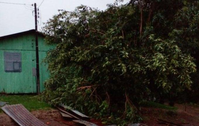 Temporal causa estragos em municípios da região do Extremo Oeste