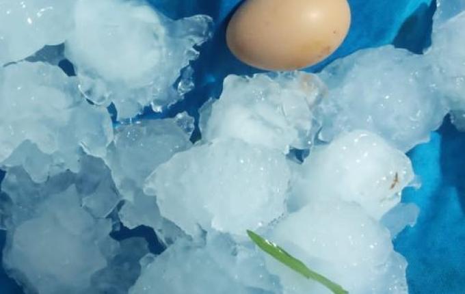 Temporal com chuva de granizo causa estragos no interior de Mondaí