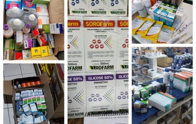 Produtores se unem para destinar alimentação e medicação para o rebanho bovino do RS