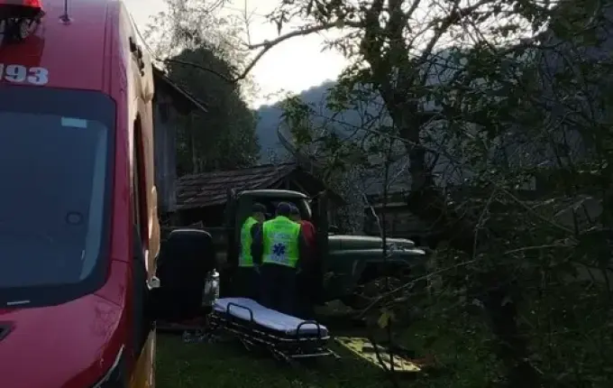 Ao tentar salvar neto, idosa é atingida por árvore no Oeste de SC