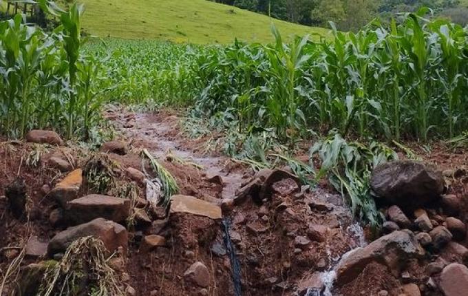 Em Santa Helena, enxurrada causa estragos nas lavouras, estradas e pontes