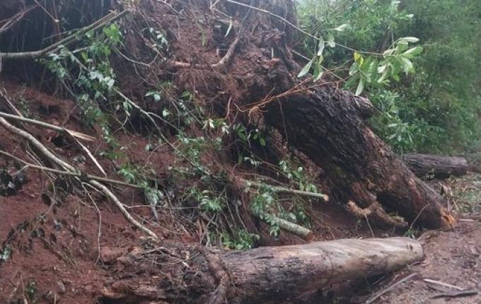Defesa Civil faz levantamento dos estragos causados pelas chuvas em Campo Erê