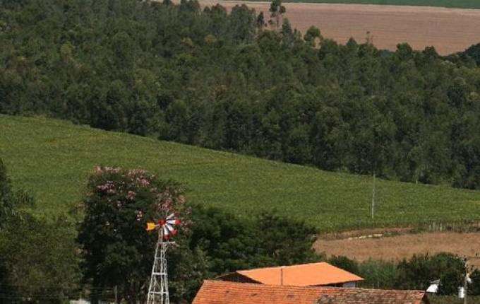 Três pessoas da mesma família são encontradas mortas em chácara
