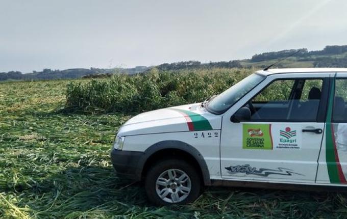 Vídeo: Propriedade da linha Gaúcha é a primeira a utilizar rolo faca produzido em Descanso
