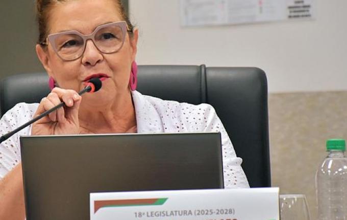 Vereadora propõe criação de Banco de Projetos para agilizar captação de recursos em SMO