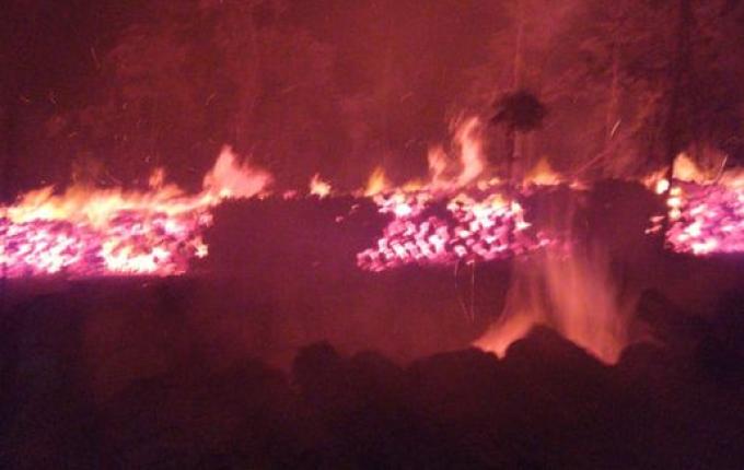 Incêndio florestal mobiliza Corpo de Bombeiros por quatro horas