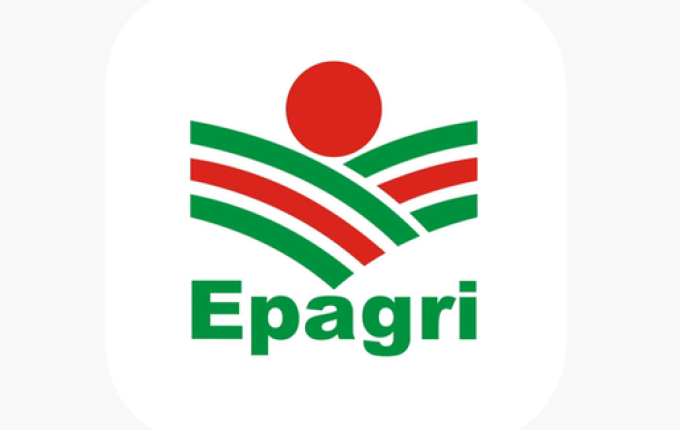 Epagri registra grande procura por capacitação em criação de gado