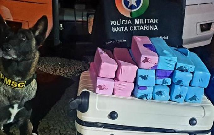 PM apreende cerca de 25 quilos de maconha e 537 garrafas de vinho em duas ocorrências