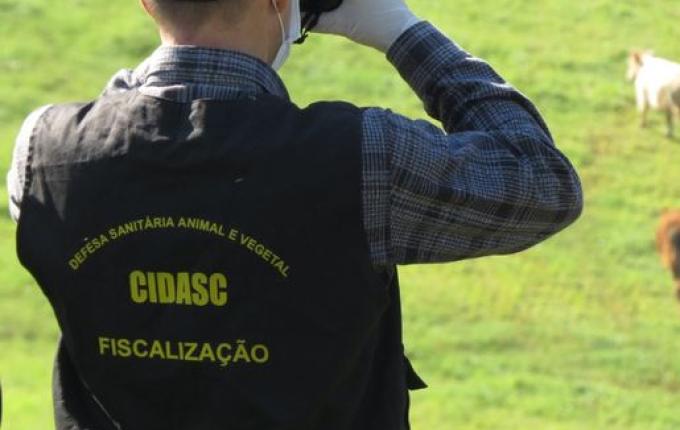 Cidasc intensifica atividades em maio e celebra avanços na sanidade agropecuária em SC
