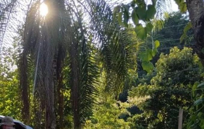 Polícia prende foragido com 86 registros criminais no interior de Iraceminha