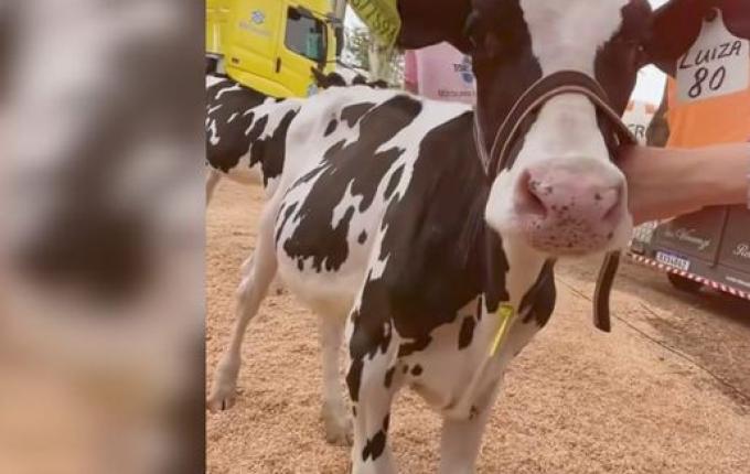 Expo Cedro impulsiona economia local e planeja expansão, revela Prefeito Fernando Will