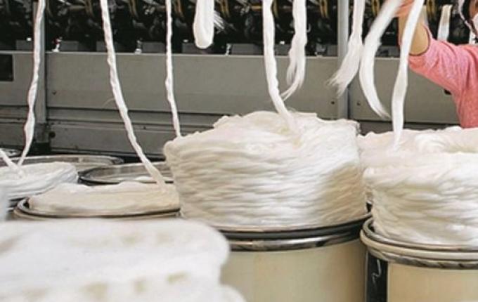 VÍDEO: Rede Peperi, CDL e ACISMO lançam campanha para valorizar o comércio