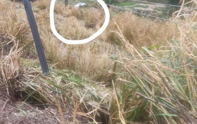 Carro capota na SC-157 em Quilombo e deixa quatro pessoas feridas