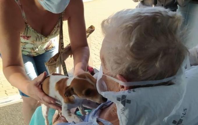 PEDIDO ATENDIDO: paciente em cuidados paliativos revê cachorrinhos de estimação