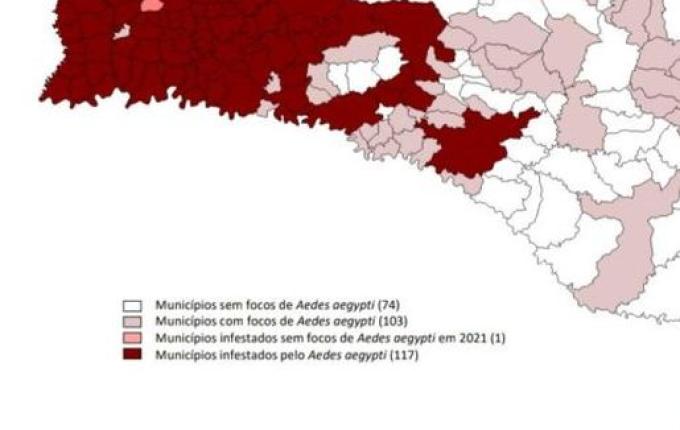 Descuido da população eleva número de focos da dengue em São José do Cedro