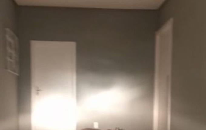 VIDEO: Onça parda é vista novamente em Francisco Beltrão