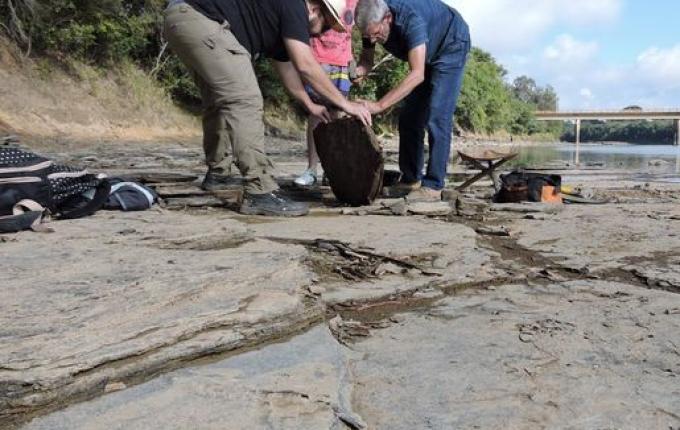 Fósseis de répteis que viveram antes dos dinossauros são descobertos em SC