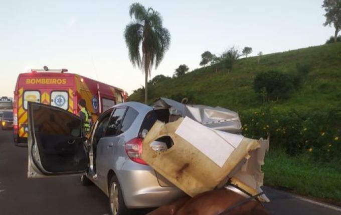 Condutor colide em cavalo no trecho entre Campo Erê e Marmeleiro