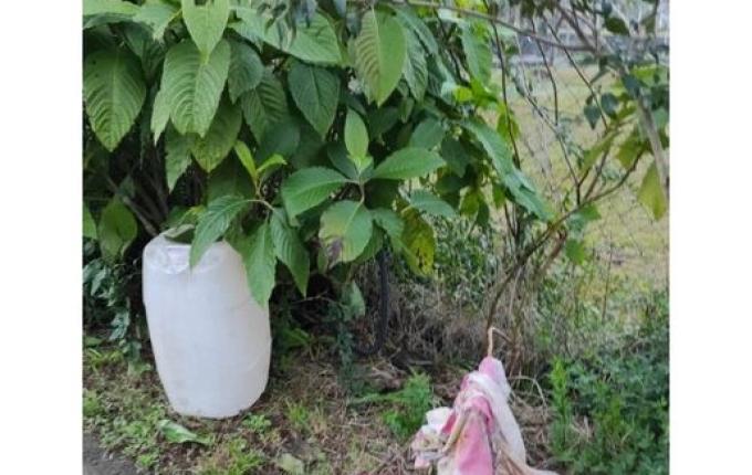 Criminosos furtam 150 litros de diesel de caminhão na região Oeste de SC